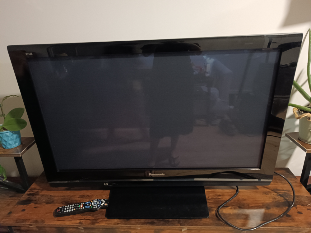 Panasonic 42-inch Plasma TV with Remote - photo 3
