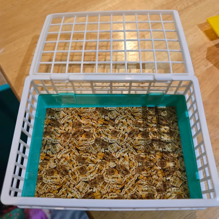 🏈 Hedgehog and Hamster Habitat Playset with Accessories image indicator(2)