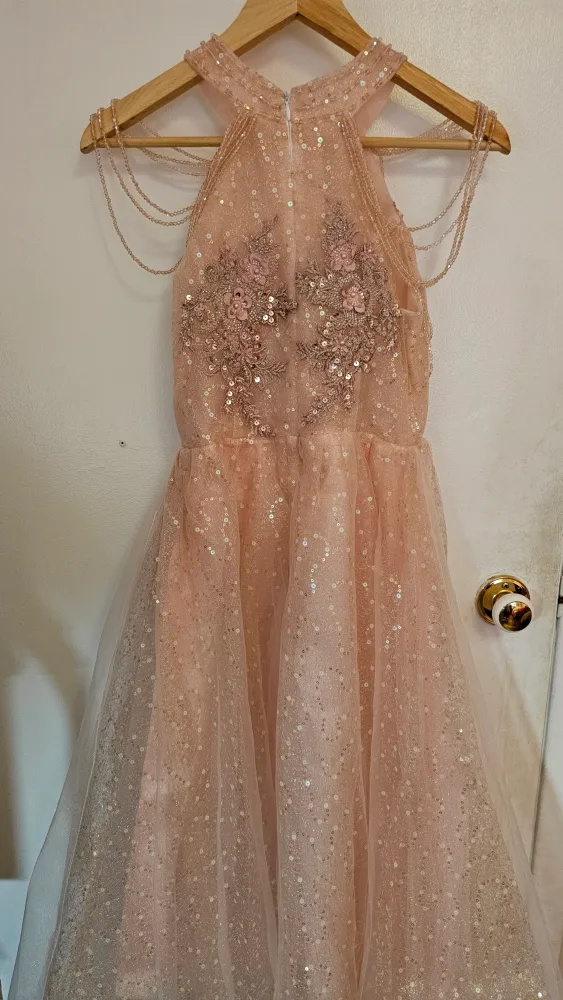 Pink Sequin A-Line Evening Gown image indicator(3)