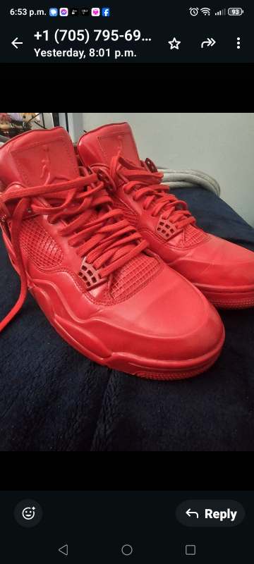 Air Jordan 4 Retro 'Toro Bravo'