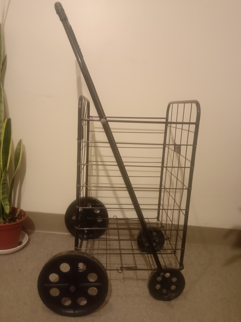 Cart-a-wheelie Shopping Cart