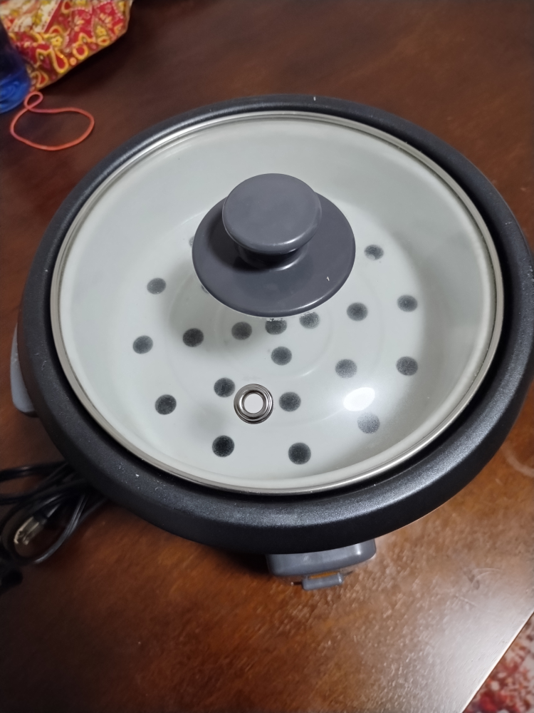 Salton Rice Cooker - photo 2