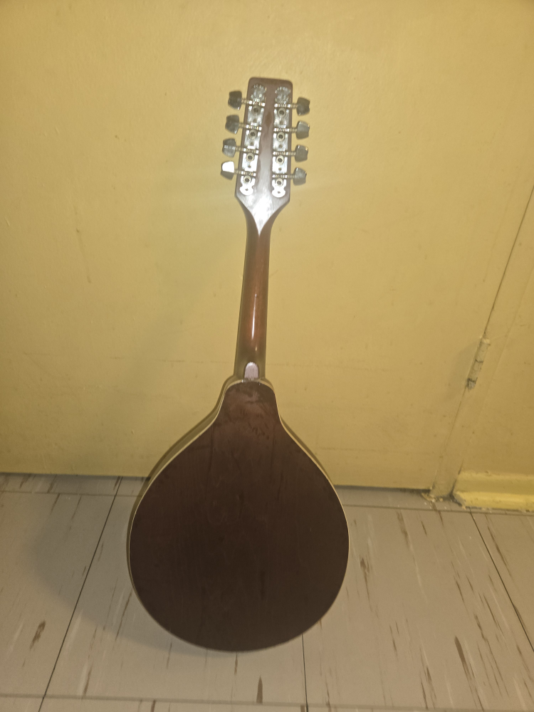 Samick Artist Series Mandolin - photo 4