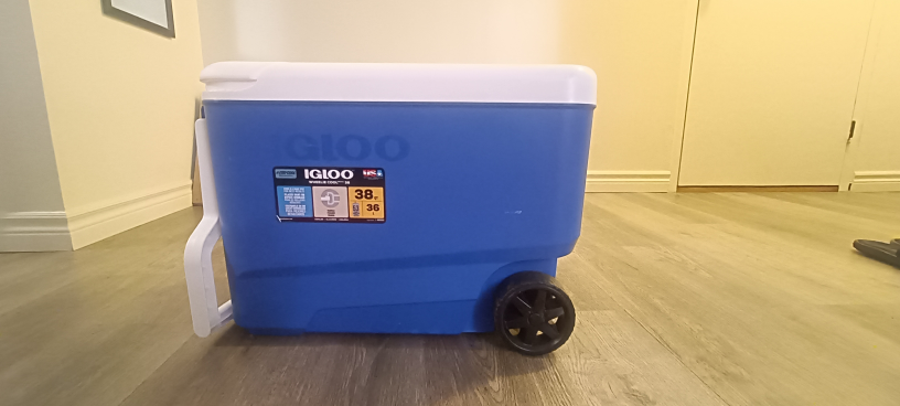 IGLOO 38 Quart Rolling Cooler