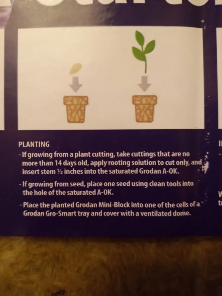 Grodan A-Ok Starter Plugs -  98 per sheet image indicator(2)