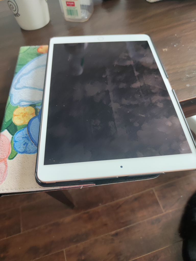 iPad in Case