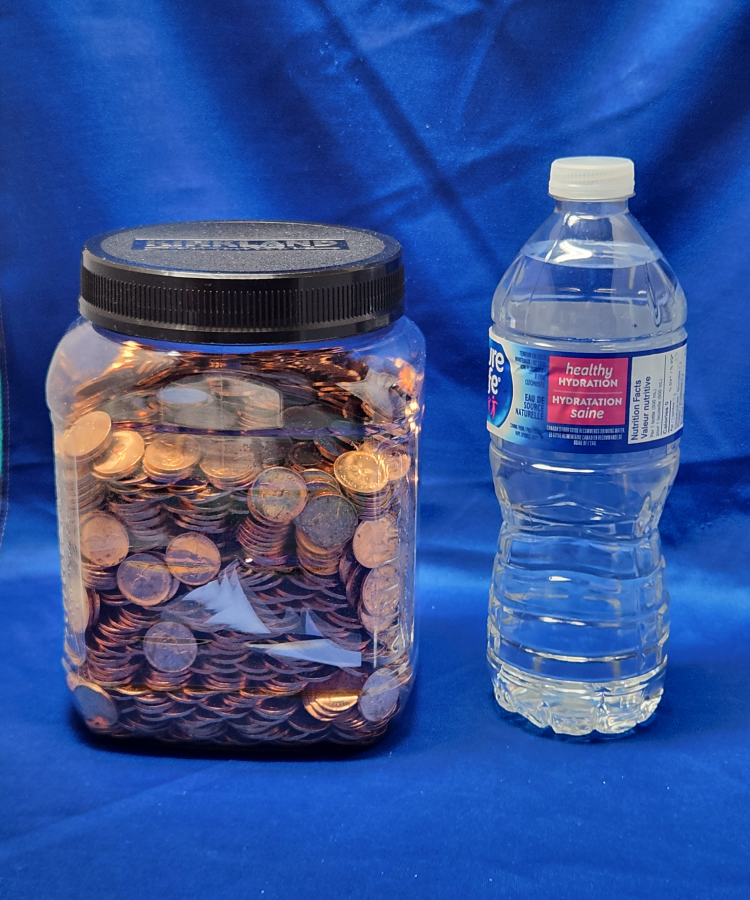 WANTED COIN COLLECTION - photo 3