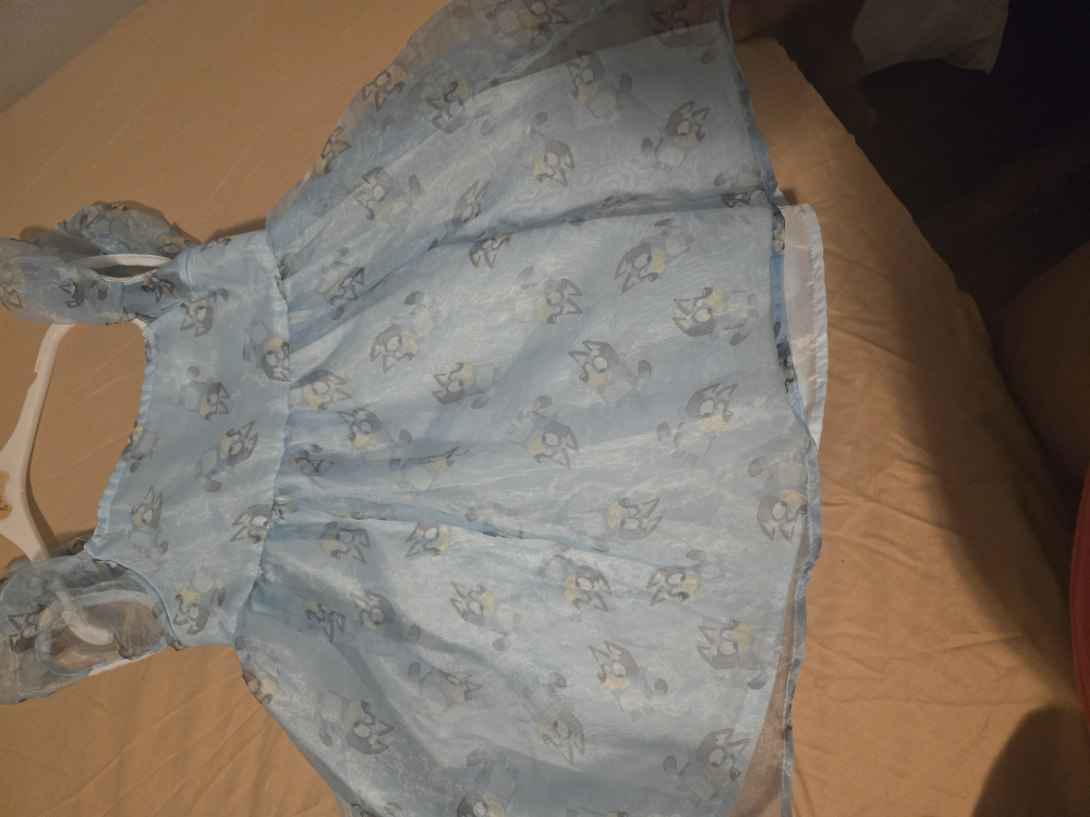 Girls' Dress Lot - Size 6 - photo 3