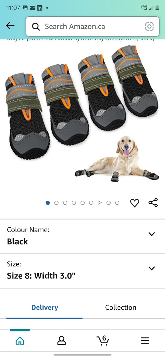 Dog Boots Size 8 - Black - Set of Four