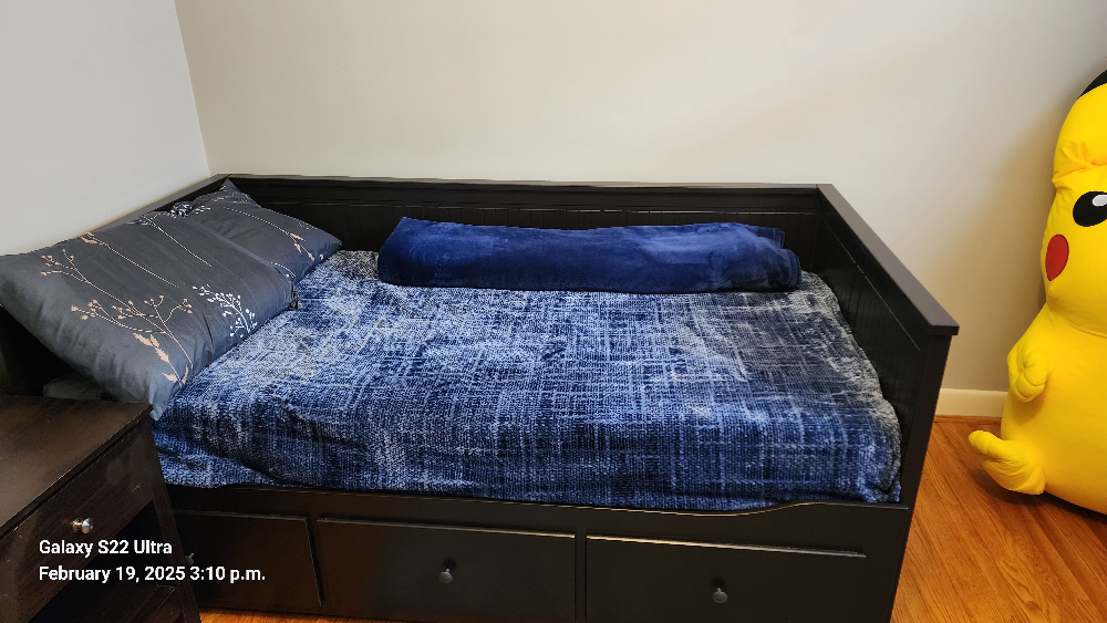 IKEA HEMNES Daybed - Twin, Black-Brown - photo 2