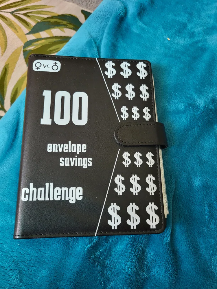 100 Envelope Savings Challenge Book thumbnail