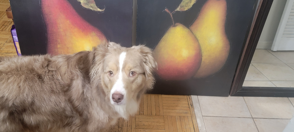 Pair of Framed Pear Still Life Paintings
