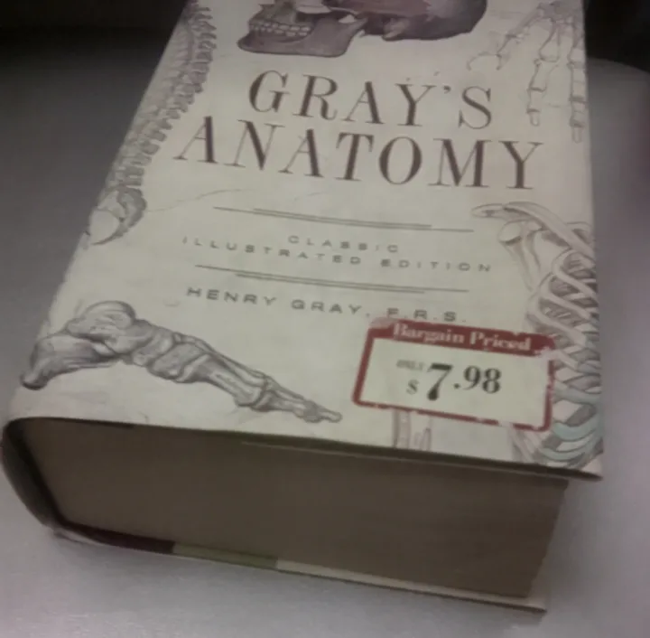 Gray's Anatomy Classic Illustrated Edition 🏈 image indicator(2)