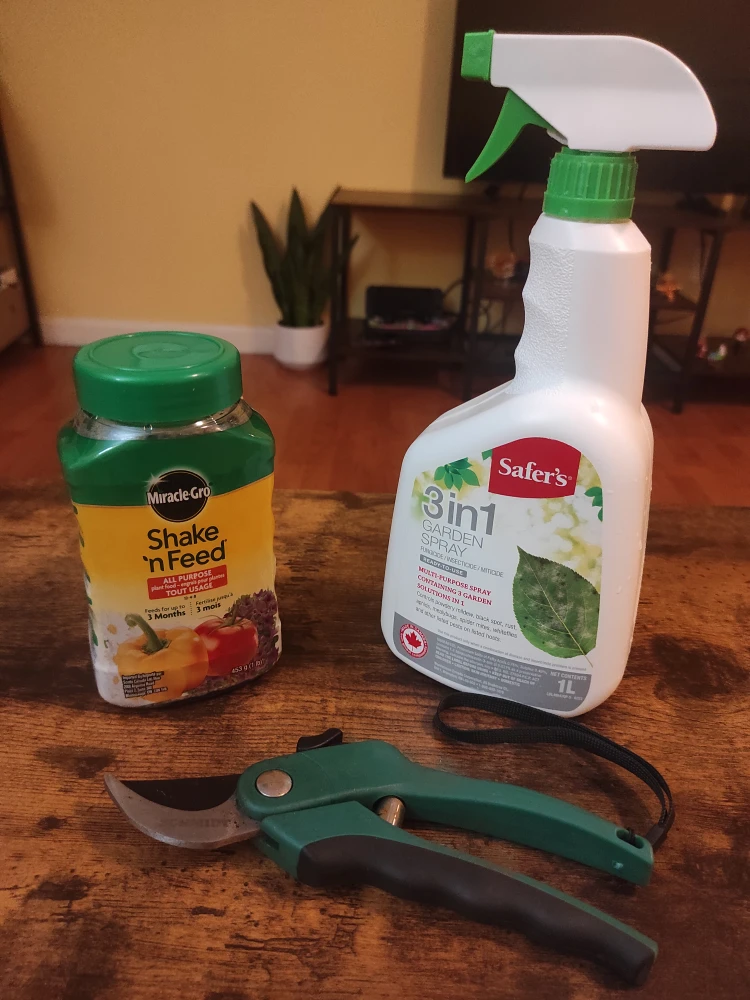 Gardening Supplies: food plant, Garden Spray, pruner - photo 2