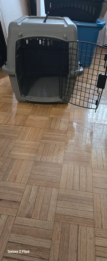 pet carrier image indicator(3)