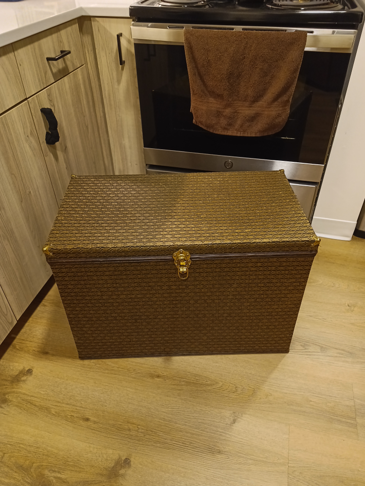 Vintage Decorative Storage Trunk