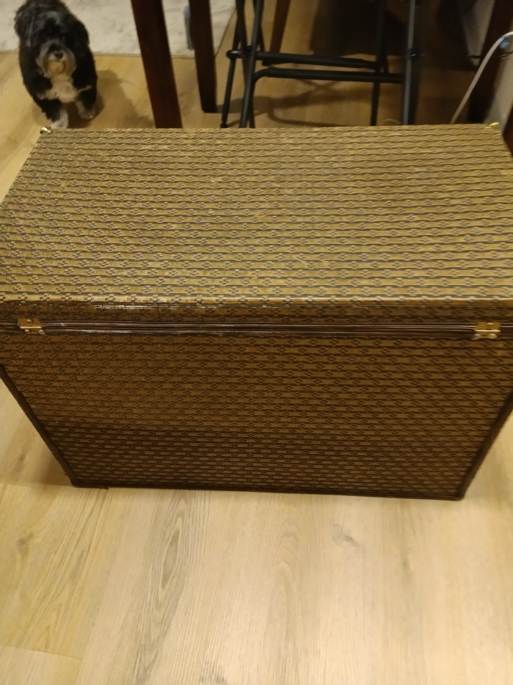 Vintage Decorative Storage Trunk - photo 3