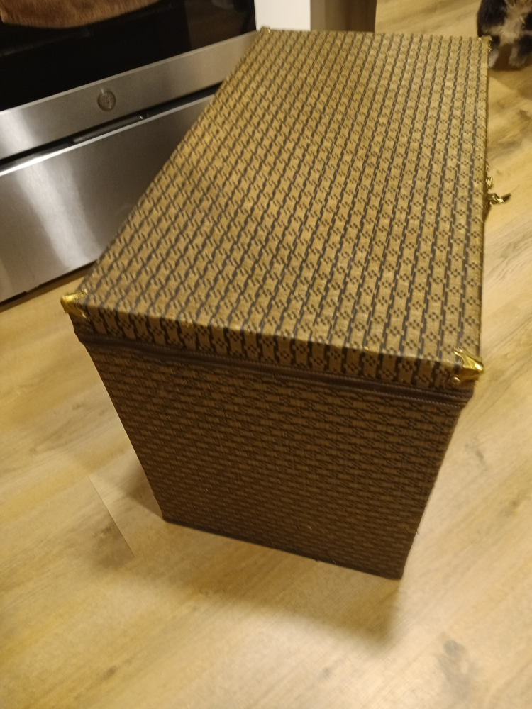 Vintage Decorative Storage Trunk - photo 5