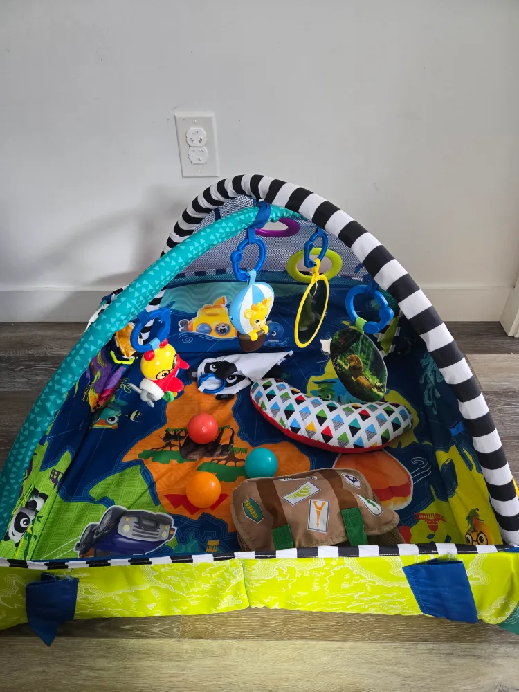 Baby Einstein Around the World Play Mat - #ThriftyPicks thumbnail
