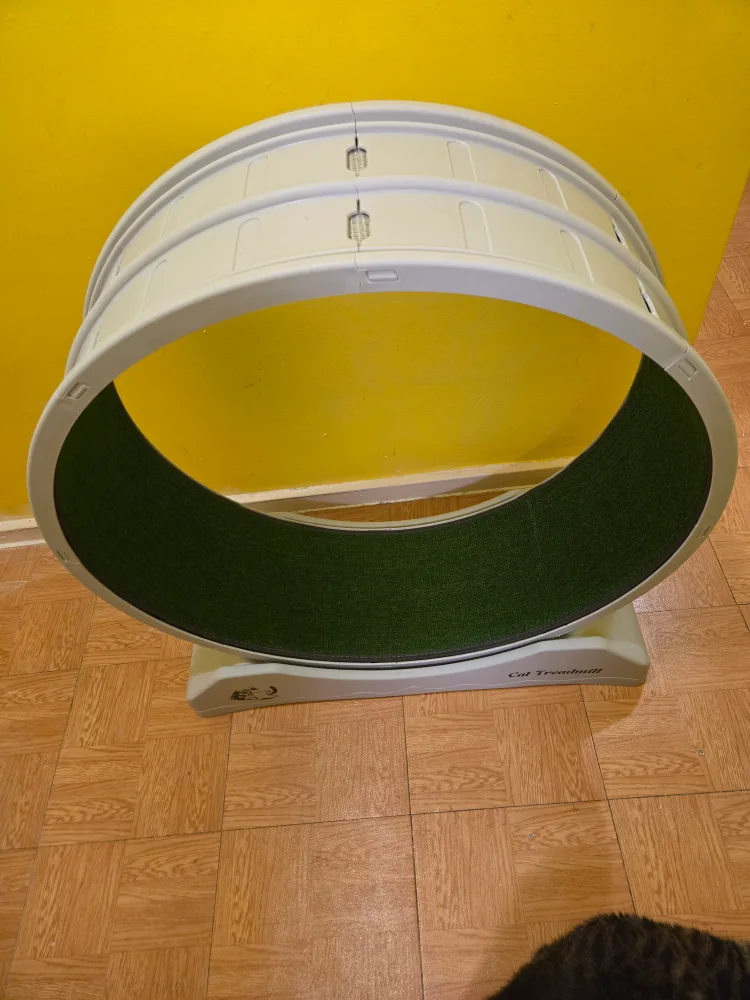 Cat Treadmill Exercise Wheel image indicator(2)