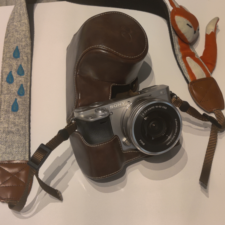 Sony α6000 Mirrorless Camera with Lens and Accessories
