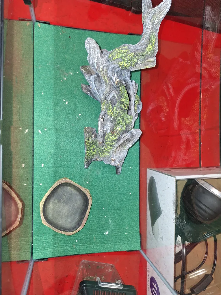 small amimal Starter Kit image indicator(3)