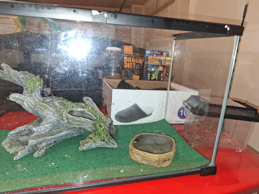 small amimal Starter Kit image indicator(4)