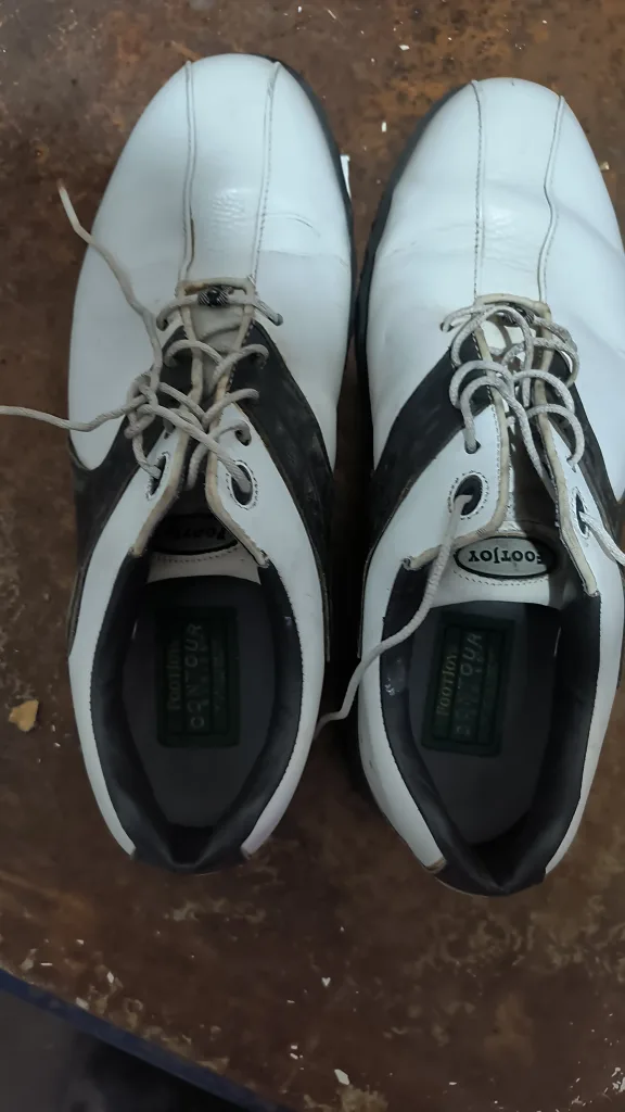 FootJoy Golf Shoes - Men's Size 6M image indicator(2)