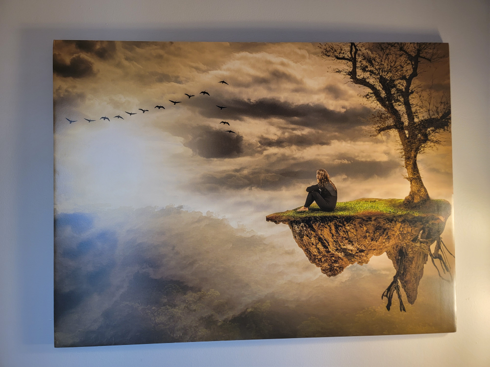 Large Art Photo Canvas