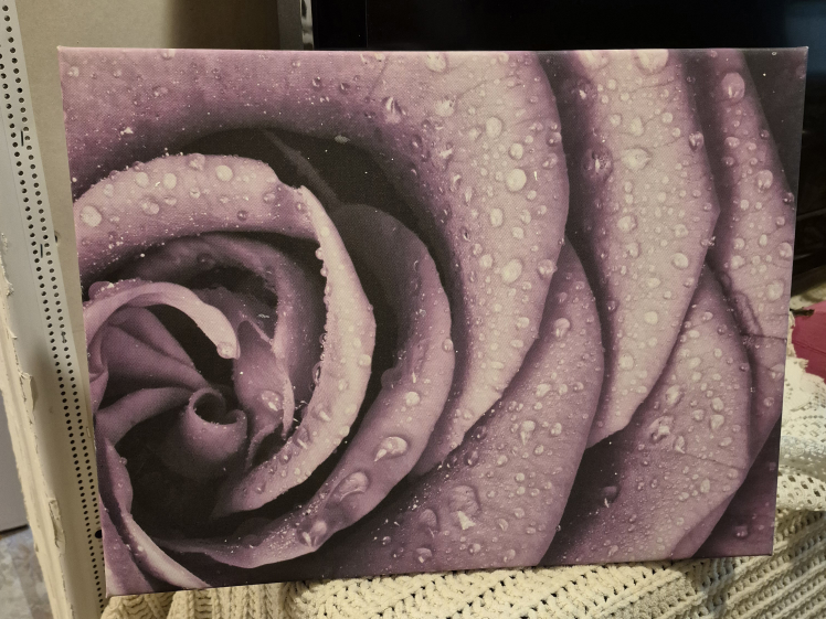 Set of Two Canvas Wall Art Prints/Plaques - photo 2