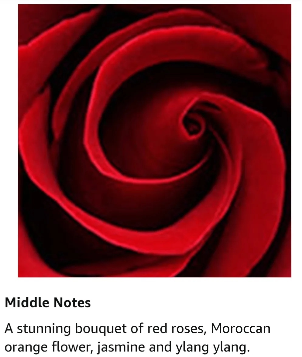 🏈Elizabeth Arden Red Door 50ml Eau de Parfum spray image indicator(3)