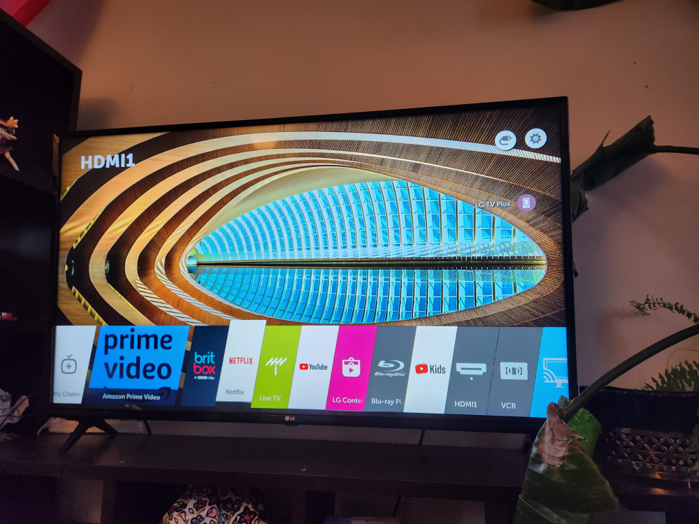 LG smart tv 48"
