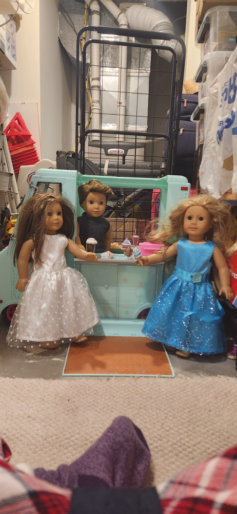 #freecycle Og girl (similar to American girl) Icecream Truck