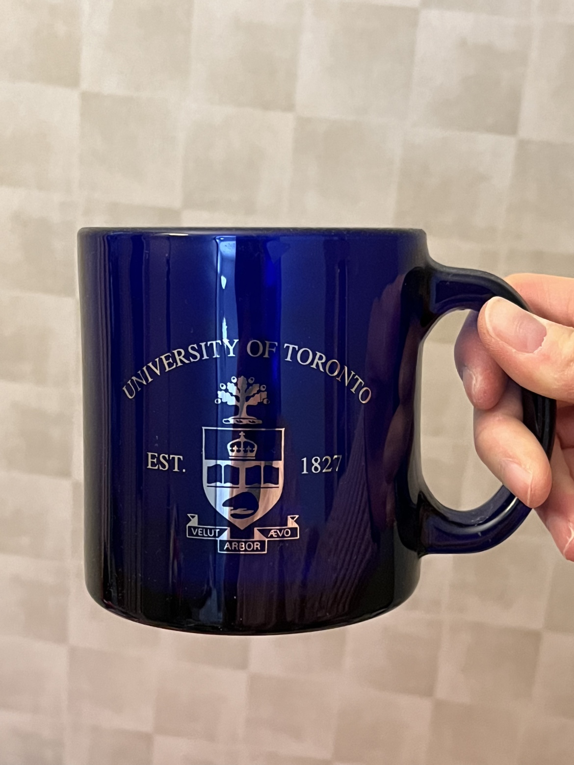 University of Toronto vintage mug