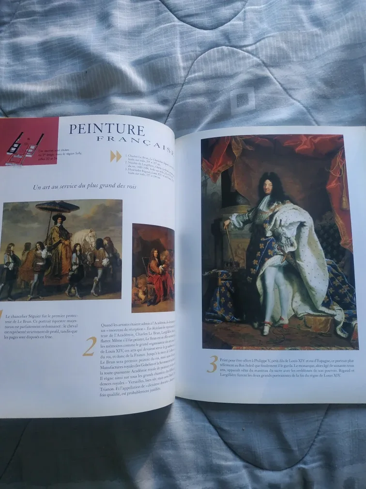 Louvre Museum Guide 🏈 image indicator(8)