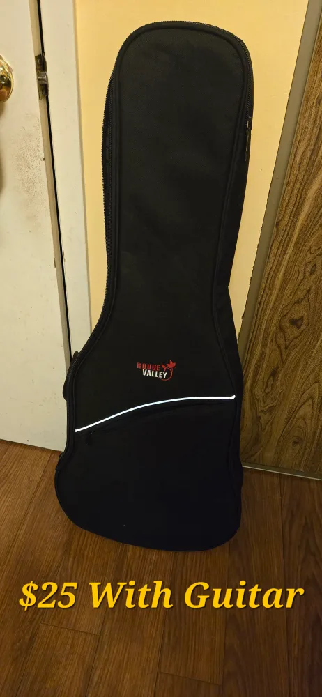 *RARE* Gretsch Jim Dandy G9500 | Limited Edition Nocturne Blue image indicator(4)