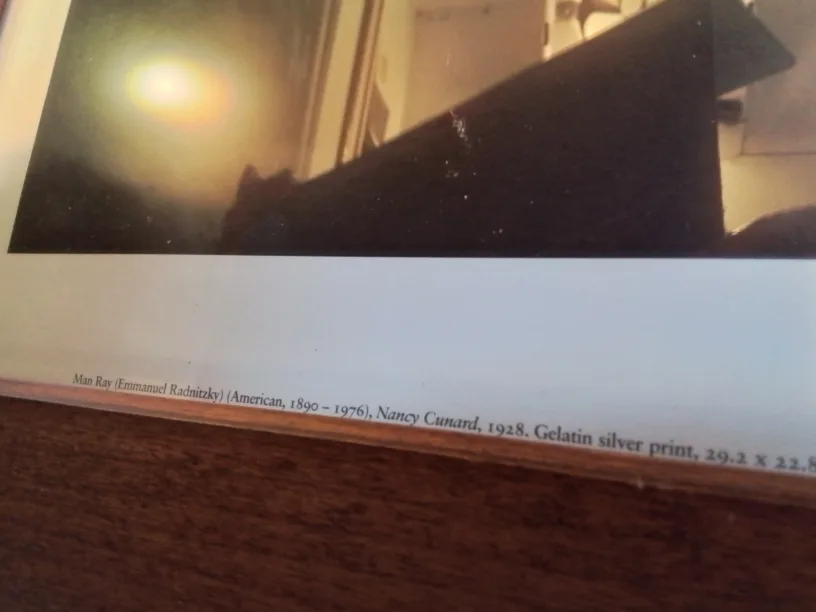 Framed Printed Photograph Of Nancy Cunard, 1928💚 image indicator(10)