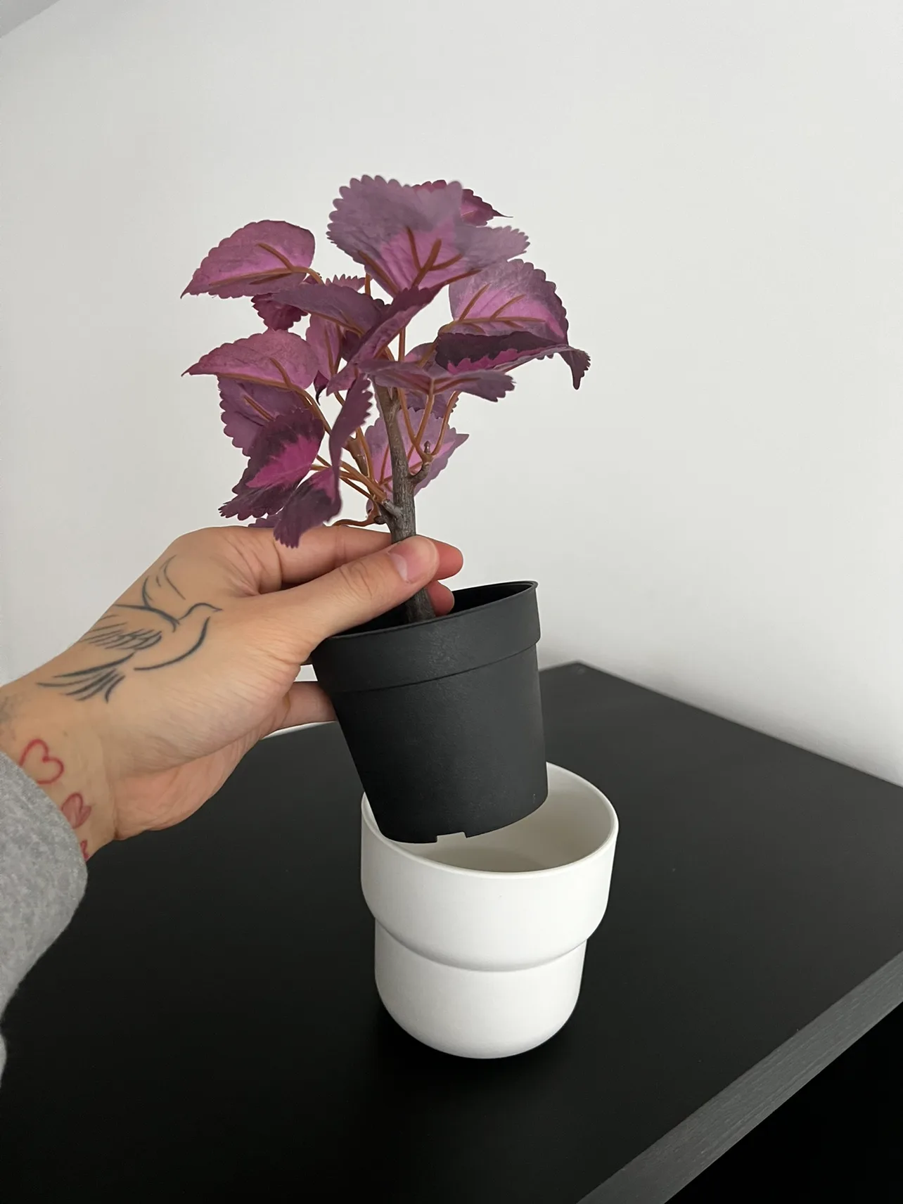 Artificial plant 5/5 image indicator(3)