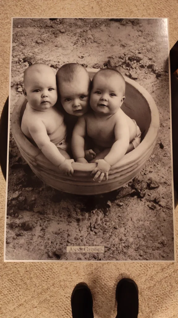 Anne Geddes Poster - Three Babies in Bowl image indicator(2)