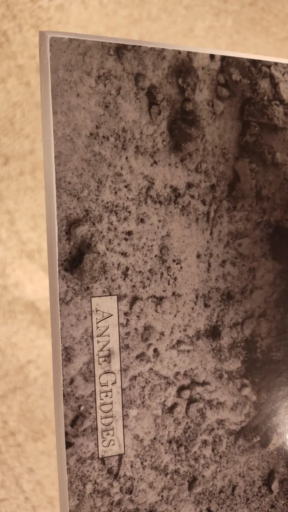 Anne Geddes Poster - Three Babies in Bowl image indicator(3)