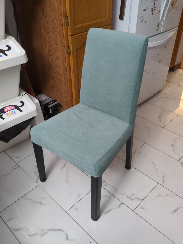 2 Light Teal Dining Chairs with Black Legs