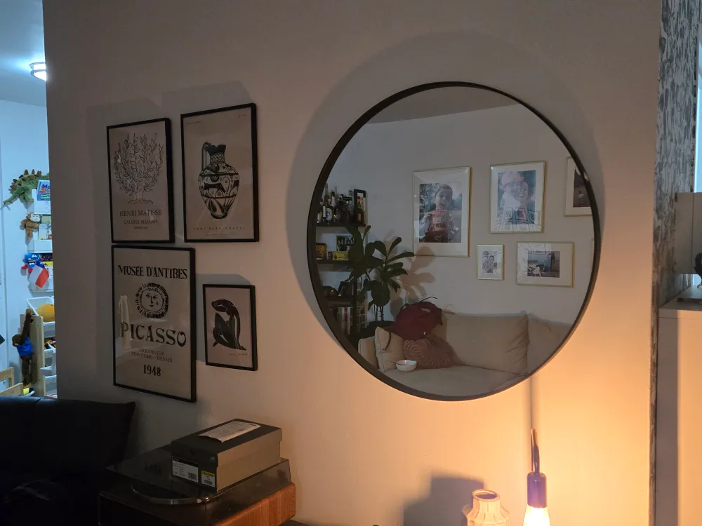 Round Black Framed Mirror image indicator(2)