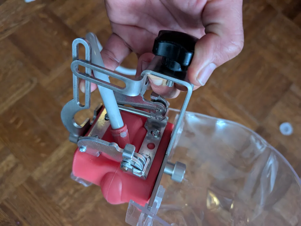 Dental Training Mandible Model image indicator(2)