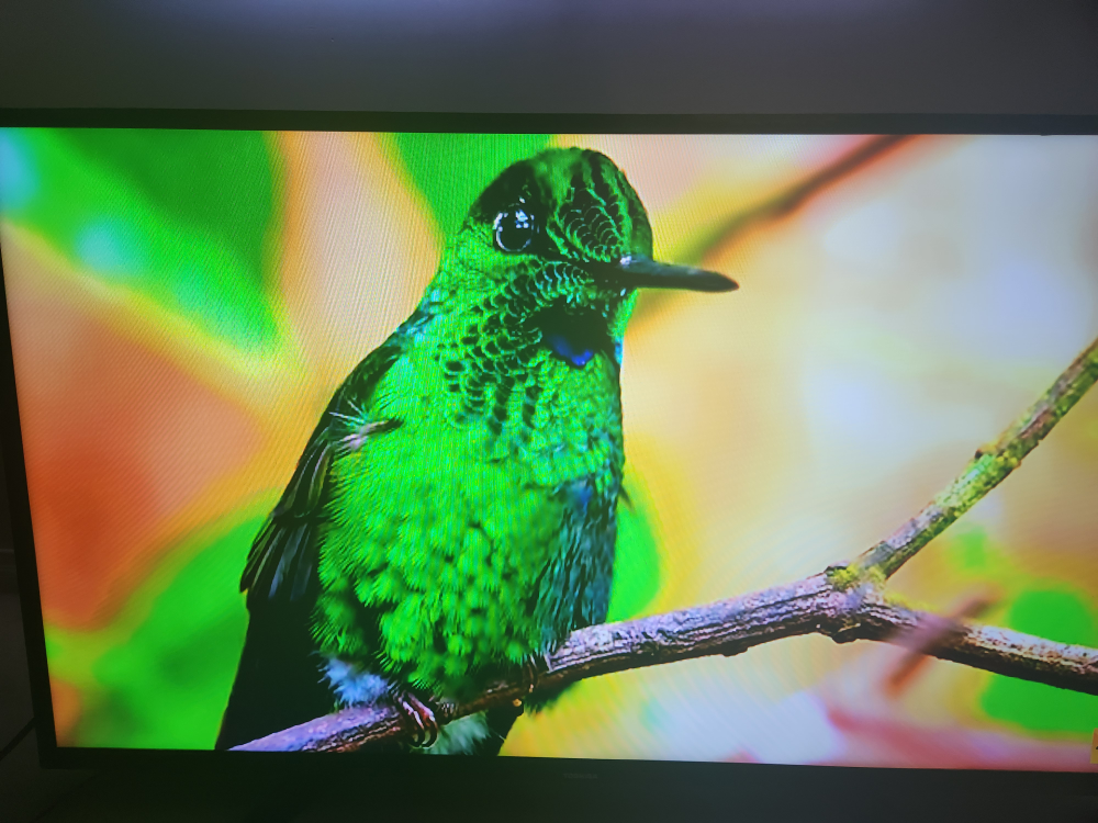 Toshiba 49-inch hdTV - photo 3