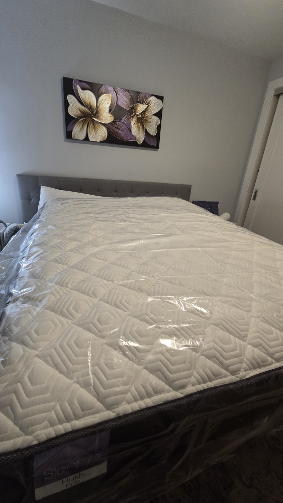 Brand New Sleepy's Hush Firm Mattress - photo 2