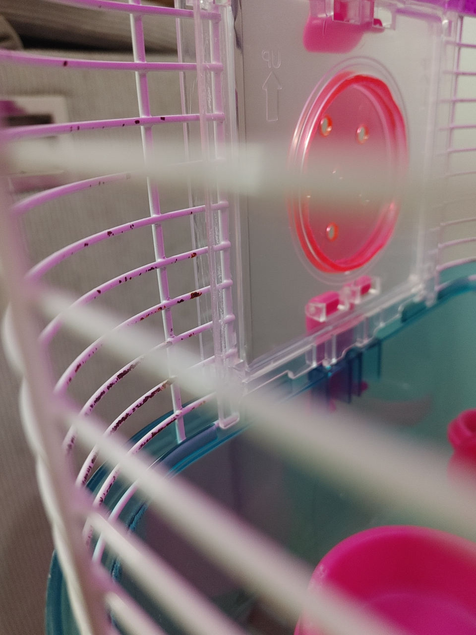 Hamster or Gerbil starter kit - photo 2