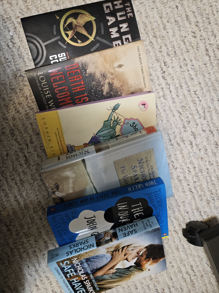 Collection of Young Adult and Romance Novels