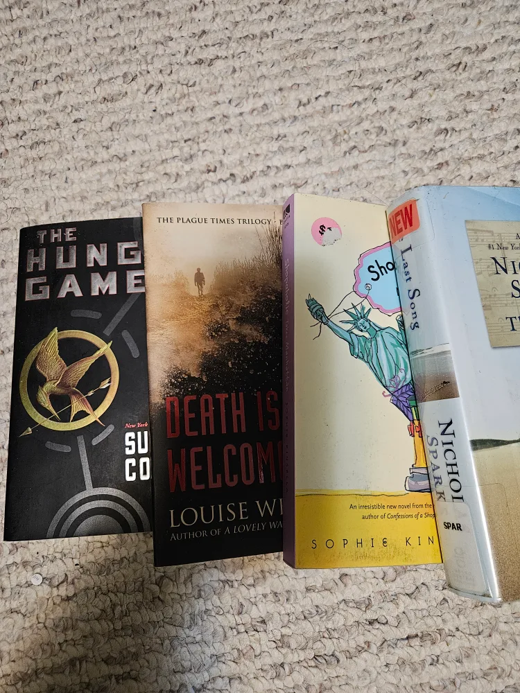 Collection of Young Adult and Romance Novels image indicator(2)