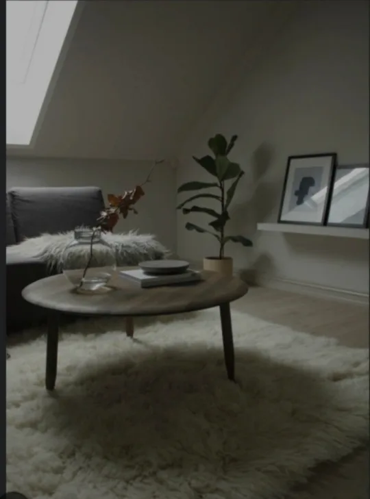 Flokati Area Rug image indicator(2)