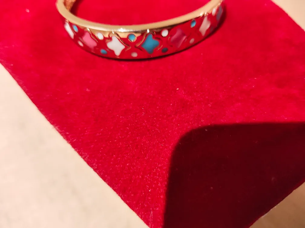 Gold-tone Enamel Hinged Bangle Bracelet image indicator(2)